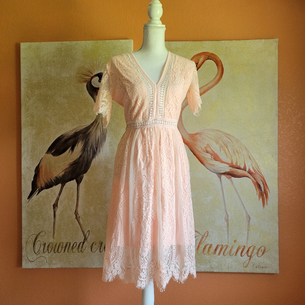 NWT Pinup Fashion Mini Dress Lace Floral Short Sleeve A Line Medium Ballet Pink